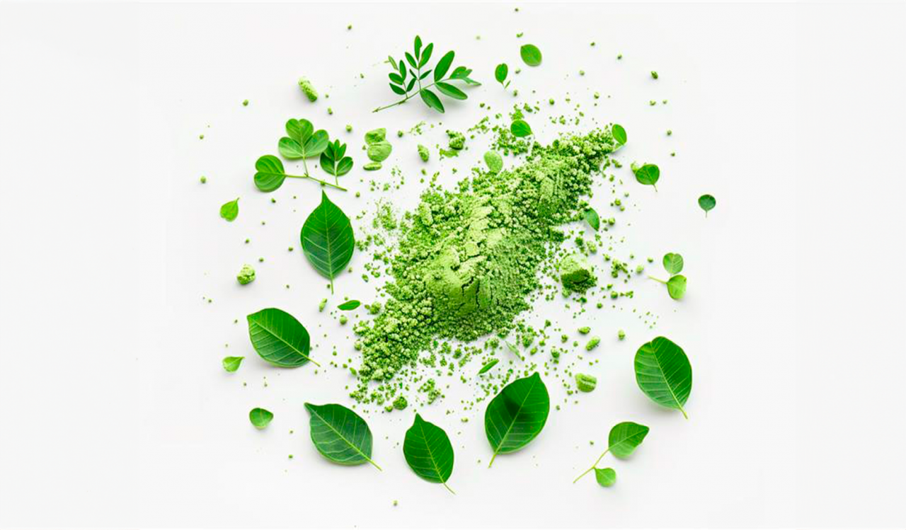 moringa