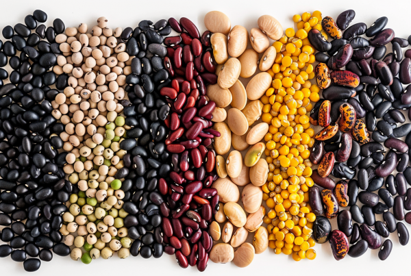 Variedad de legumbres alineadas para ilustrar las 5 propiedades de la legumbre.