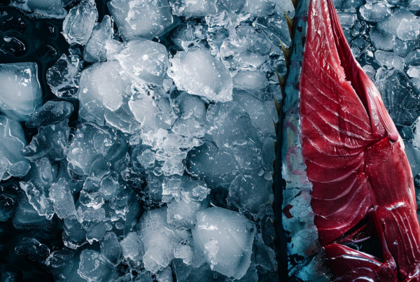 Filete de atún fresco sobre hielo, representando el pescado azul como fuente de omega-3 y nutrientes esenciales para una alimentación saludable.