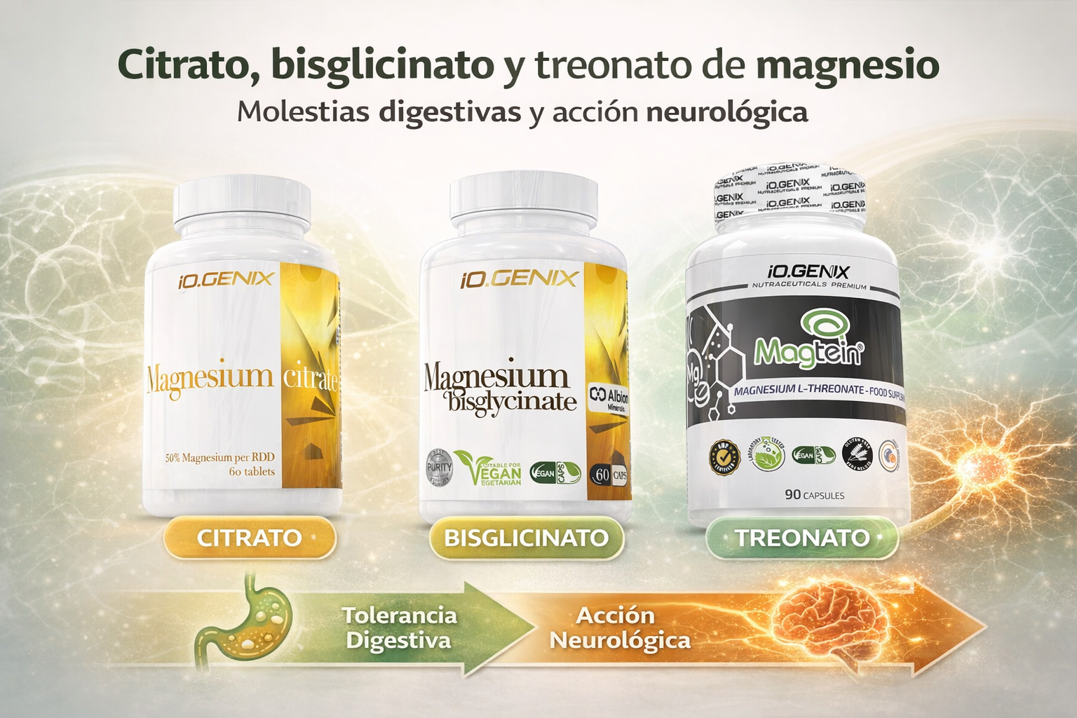 Tipos de magnesios. Diferencias tolerancia y usos