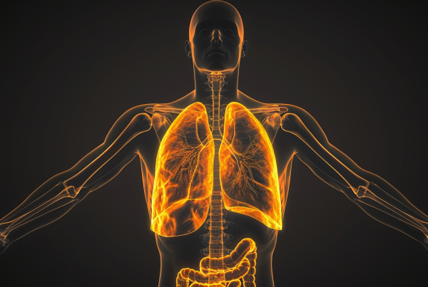 Ilustración 3D del cuerpo humano con los pulmones resaltados, representando procesos inflamatorios sistémicos y salud metabólica.