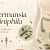 Imagen de cabecera para un post sobre Akkermansia muciniphila, con representación del intestino, bacterias intestinales y composición corporal.